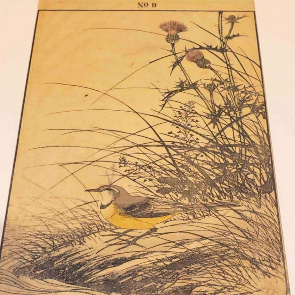 Antique 1892 Japanese thistle grey wagtail wood print art imao keinen